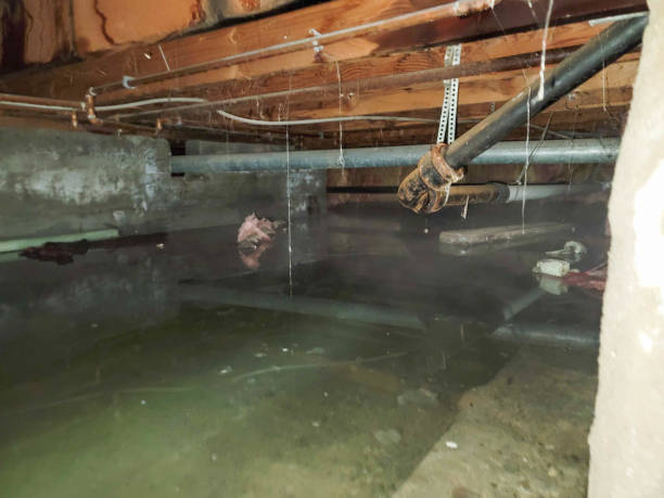 Best Residential water damage restoration  in Ringgold, GA