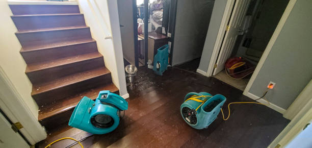 Best Basement water damage restoration  in Ringgold, GA