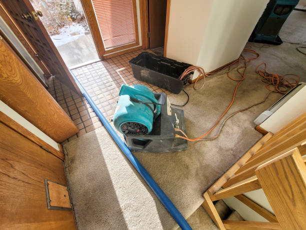 Best Professional water damage repair  in Ringgold, GA