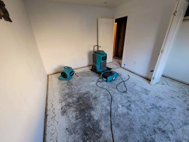 Best Water damage cleanup near me  in Ringgold, GA