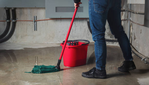 Best Sewage cleanup and water damage restoration  in Ringgold, GA