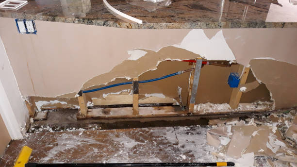 Best Fire Damage Restoration  in Ringgold, GA