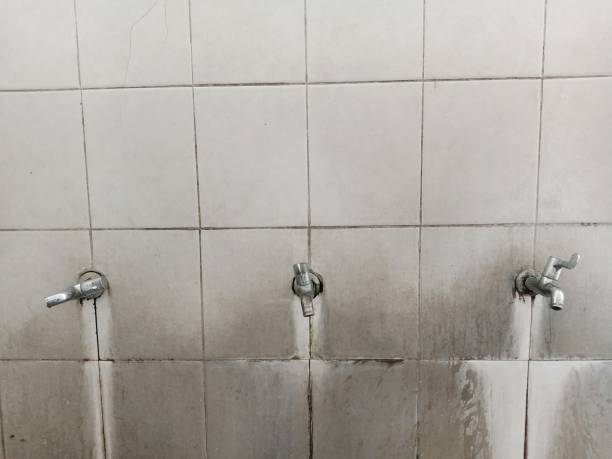 Best Commercial water damage restoration  in Ringgold, GA