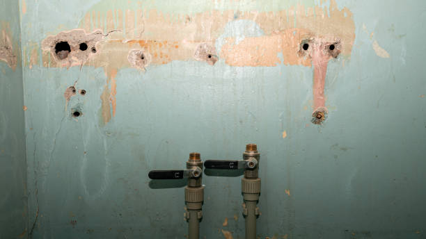 Best Emergency water damage restoration  in Ringgold, GA