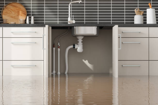 Best Fire Damage Restoration  in Ringgold, GA