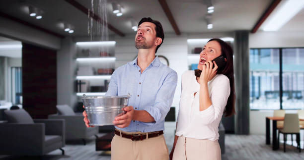 Best Mold removal after water damage  in Ringgold, GA