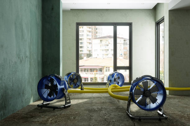 Professional Water damage restoration in Ringgold, GA